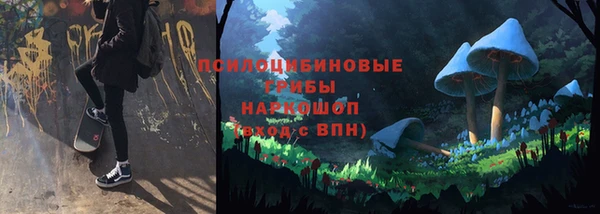 дмт Абинск