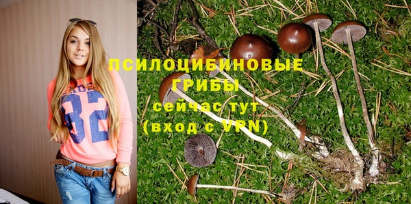 ешки Алзамай