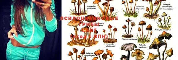 кристаллы Абдулино